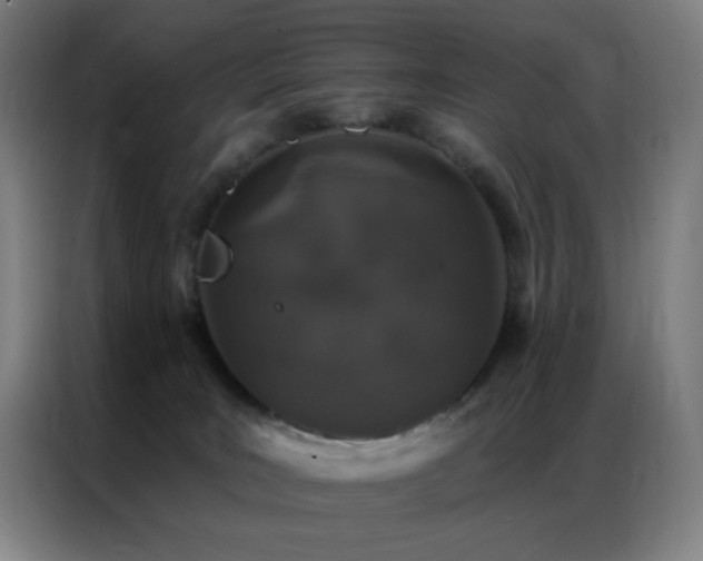X0000087340035200704201153