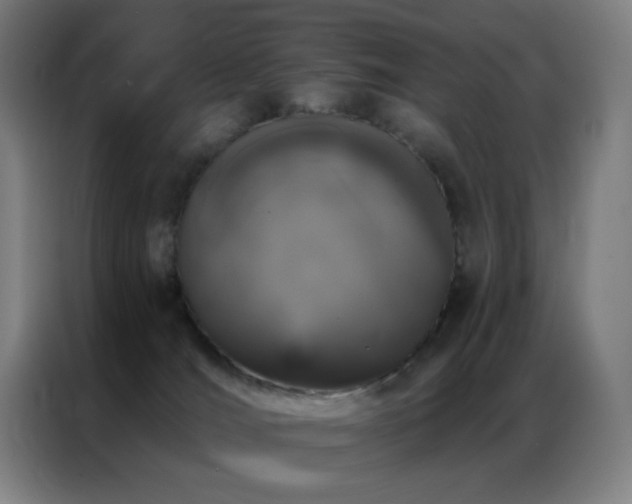 X0000087340036200704201153