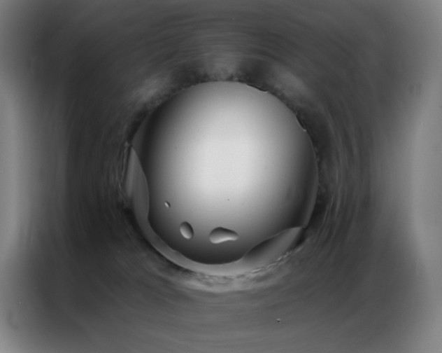 X0000087340037200704201153