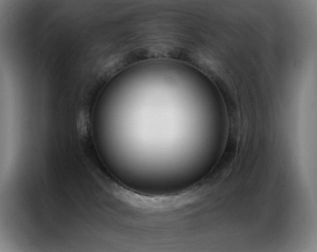 X0000087340038200704201153