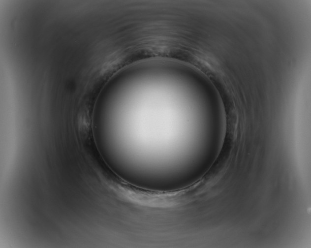 X0000087340040200704201153