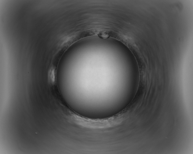 X0000087340042200704201153
