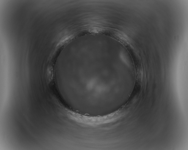 X0000087340043200704201153