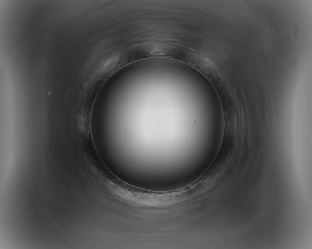 X0000087340044200704201153