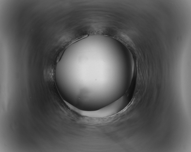 X0000087340045200704201153