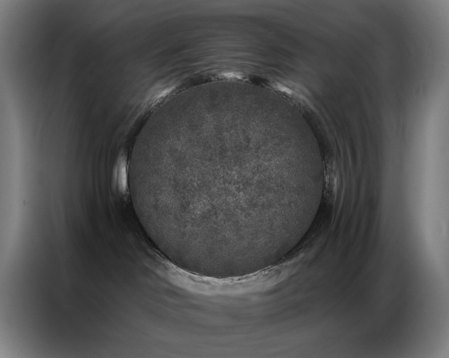X0000087340046200704201153