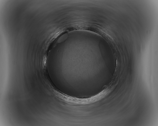 X0000087340048200704201153