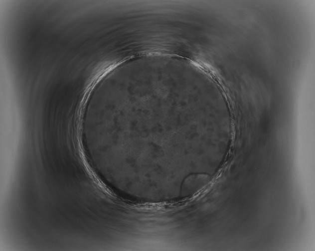 X0000087340049200704201152