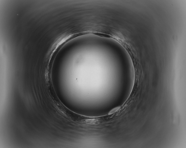 X0000087340050200704201152