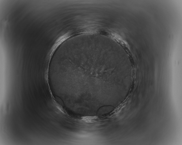 X0000087340051200704201152