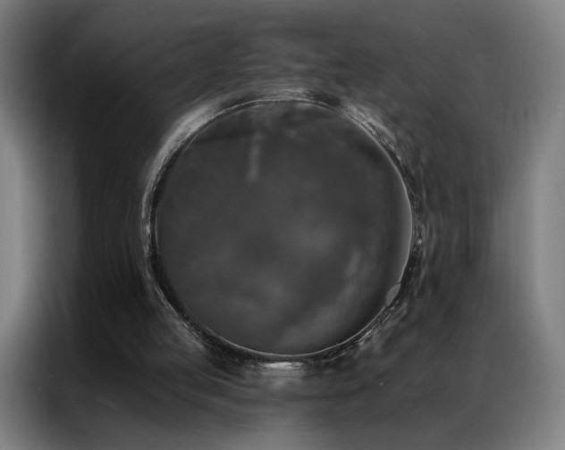 X0000087340053200704201152