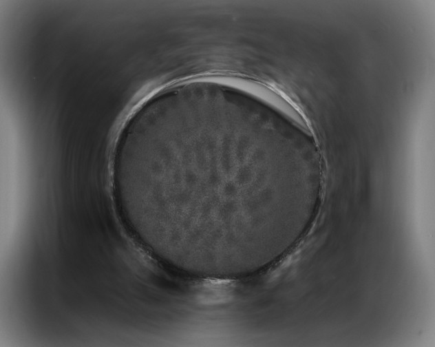 X0000087340055200704201152