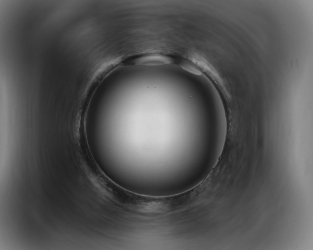 X0000087340058200704201152