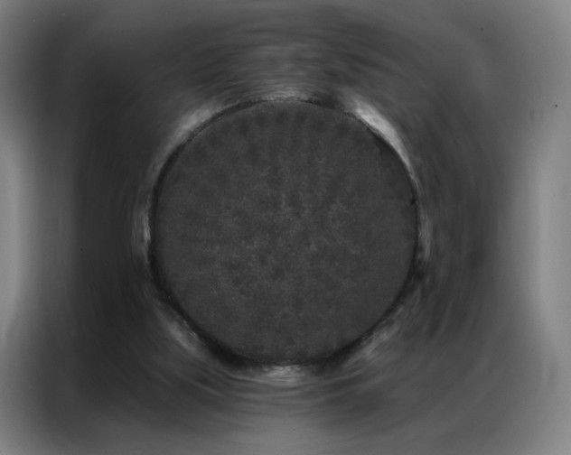 X0000087340059200704201152