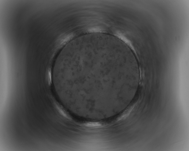 X0000087340061200704201152