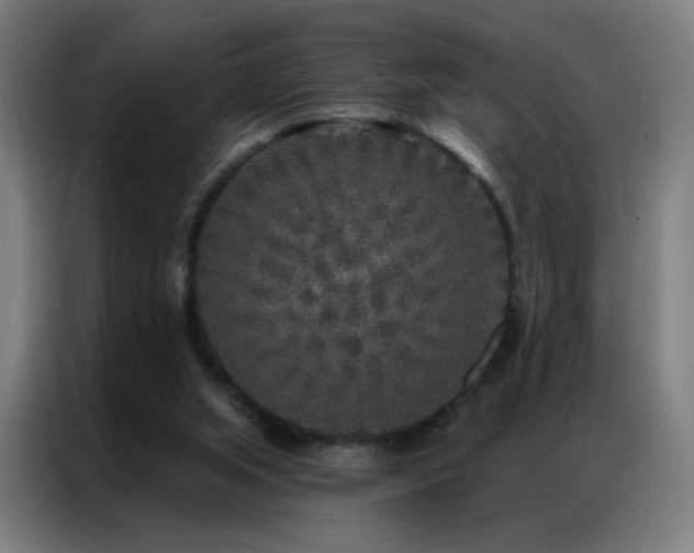 X0000087340063200704201152