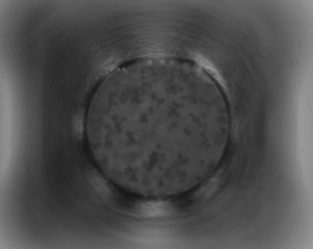 X0000087340065200704201153