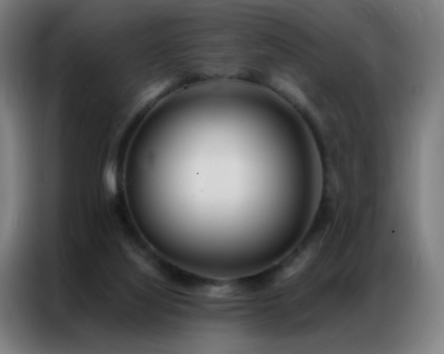X0000087340068200704201153