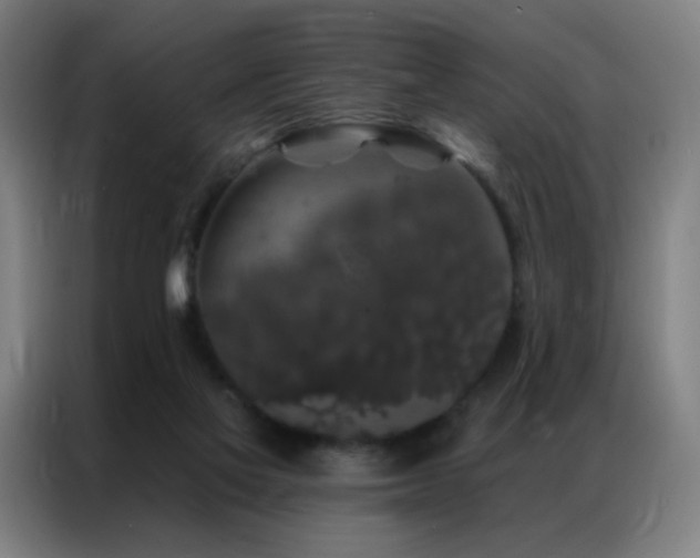 X0000087340069200704201153