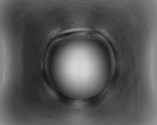 X0000087340070200704201153