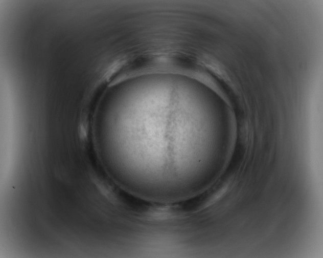X0000087340072200704201153
