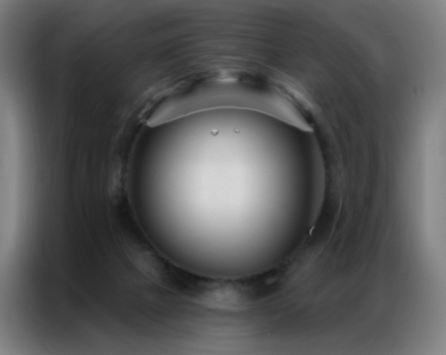X0000087340073200704201153