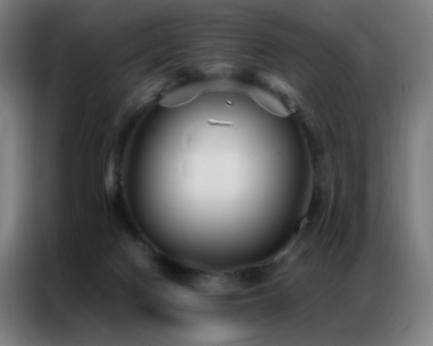 X0000087340074200704201153