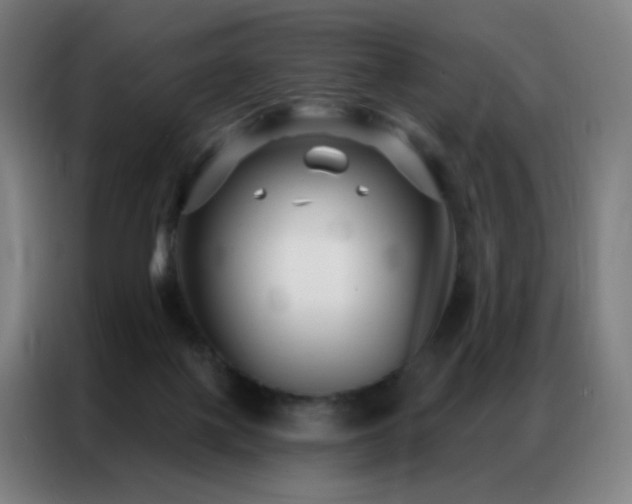X0000087340075200704201153