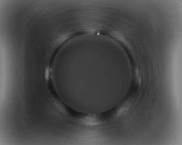 X0000087340076200704201153