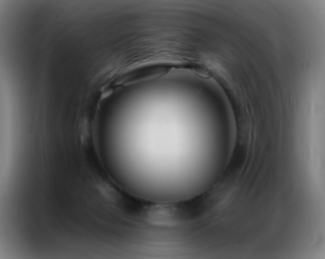 X0000087340077200704201153