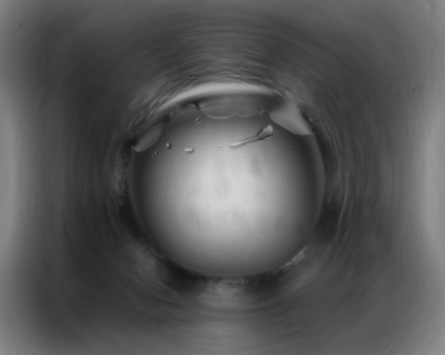 X0000087340078200704201153