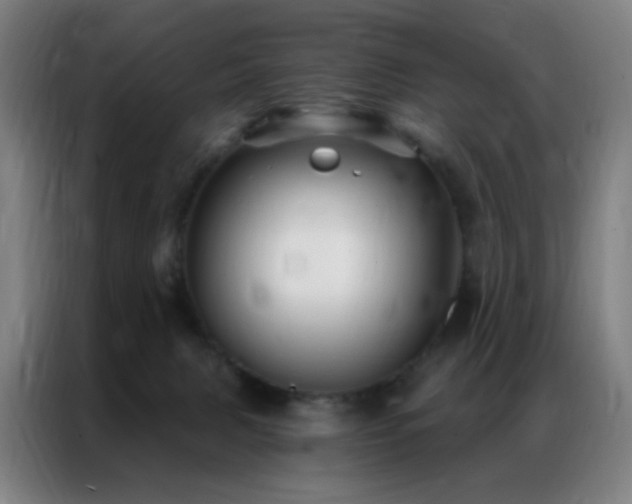 X0000087340079200704201153