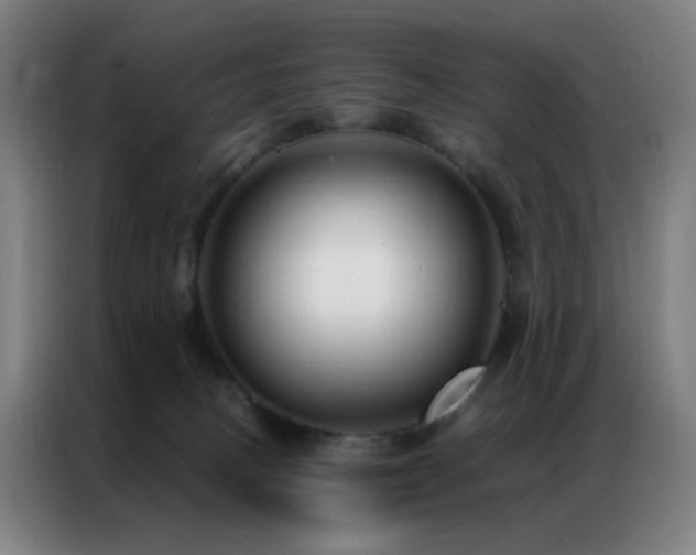 X0000087340082200704201153