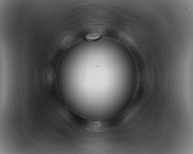 X0000087340083200704201153