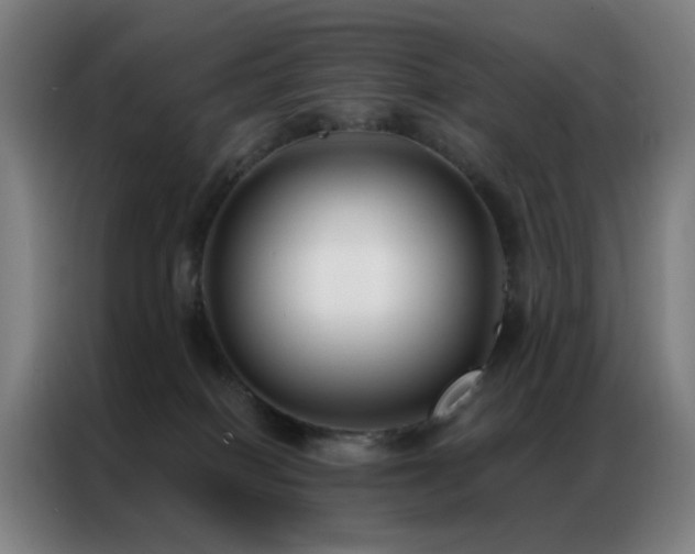 X0000087340086200704201153
