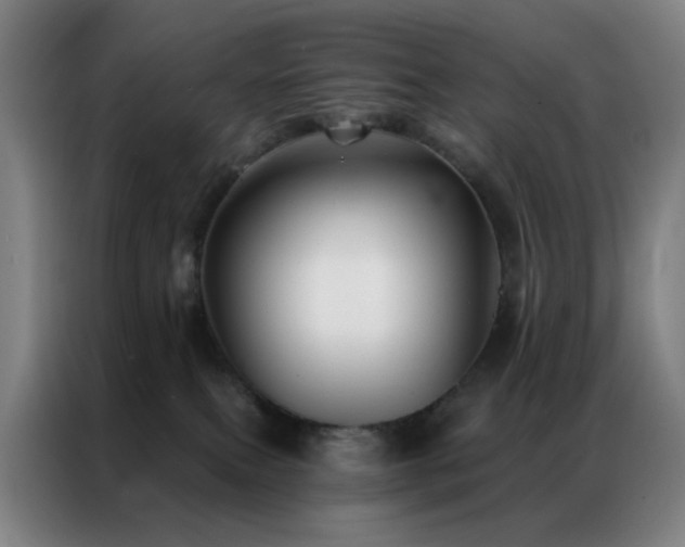 X0000087340087200704201153