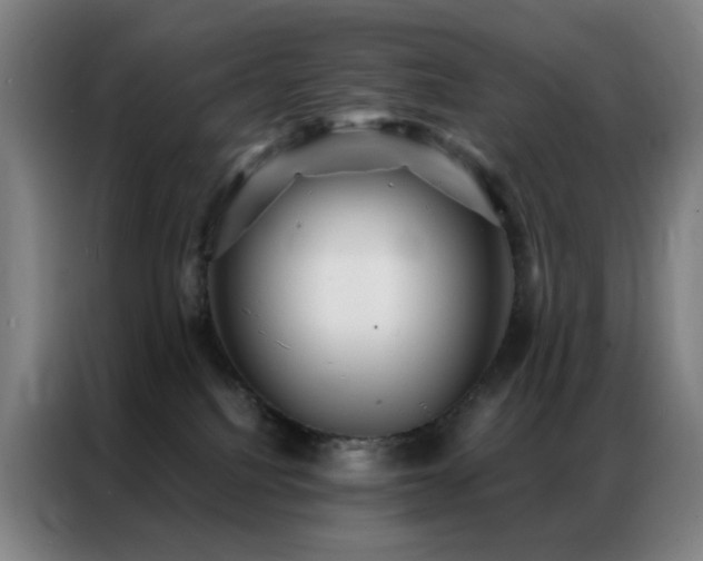 X0000087340088200704201153