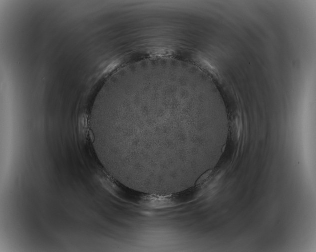 X0000087340093200704201153