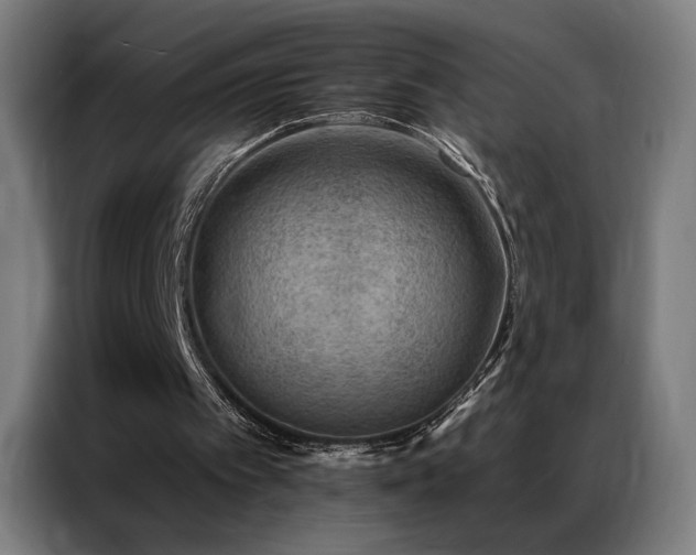X0000087340097200704201152
