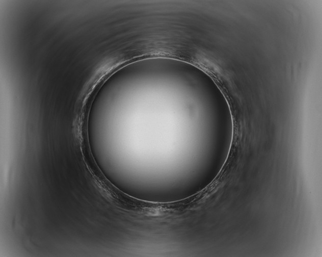 X0000087340098200704201152