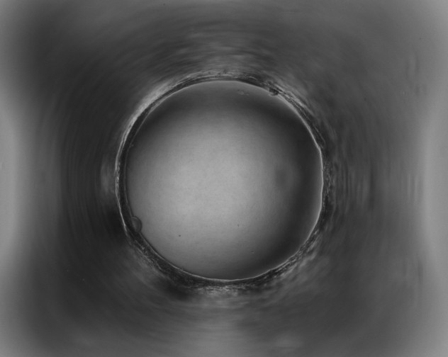 X0000087340100200704201152