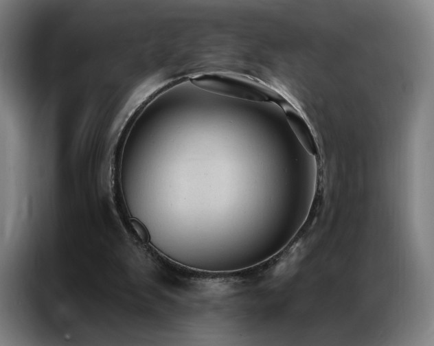 X0000087340103200704201152