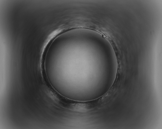 X0000087340104200704201152