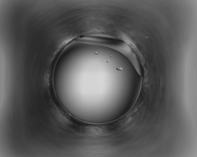X0000087340106200704201152