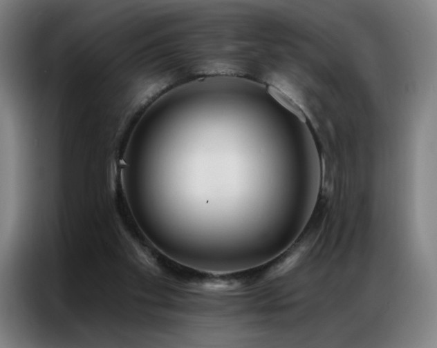 X0000087340109200704201152