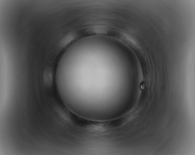 X0000087340120200704201152