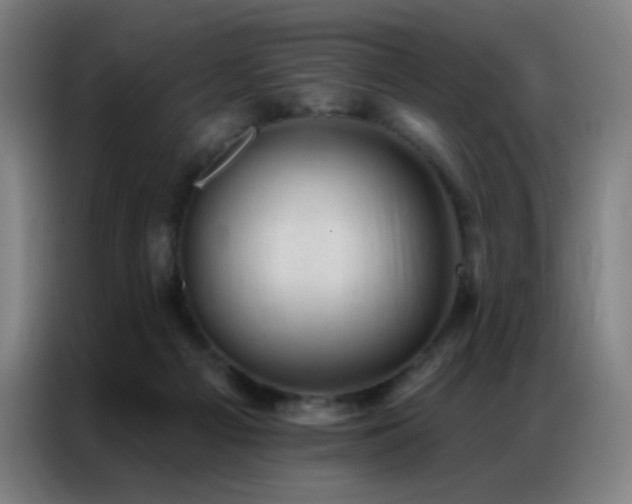 X0000087340121200704201152