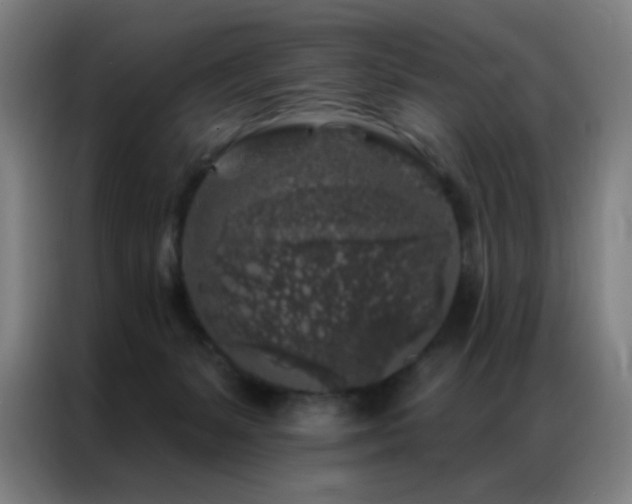 X0000087340127200704201152