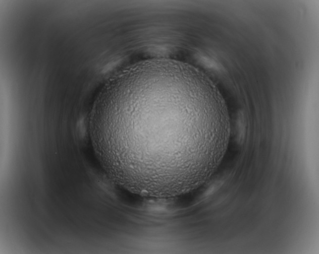 X0000087340131200704201152