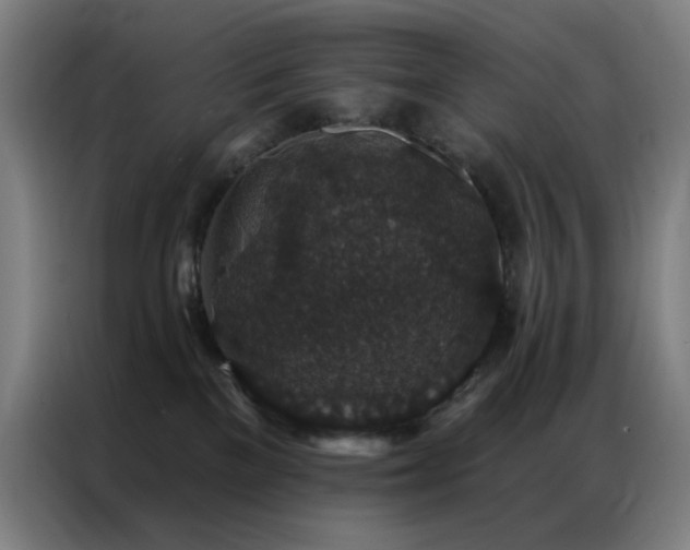 X0000087340137200704201152